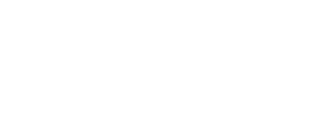 RaykhaTour Logo